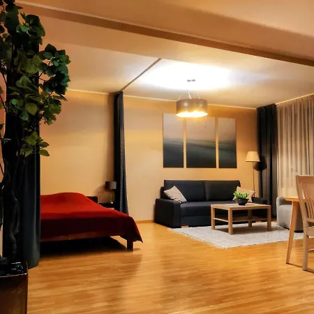 Joe - With Sauna In The Center Apartment