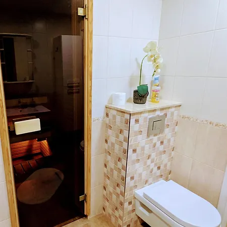 Joe - With Sauna In The Center Apartment