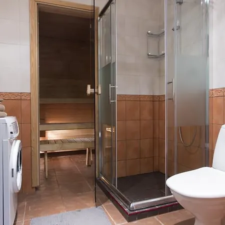 Joe - With Sauna In The Center Apartment *