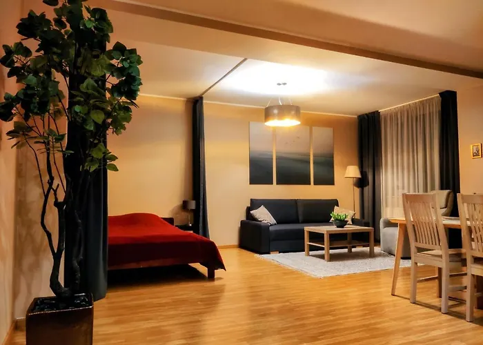 Joe - With Sauna In The Center Appartement