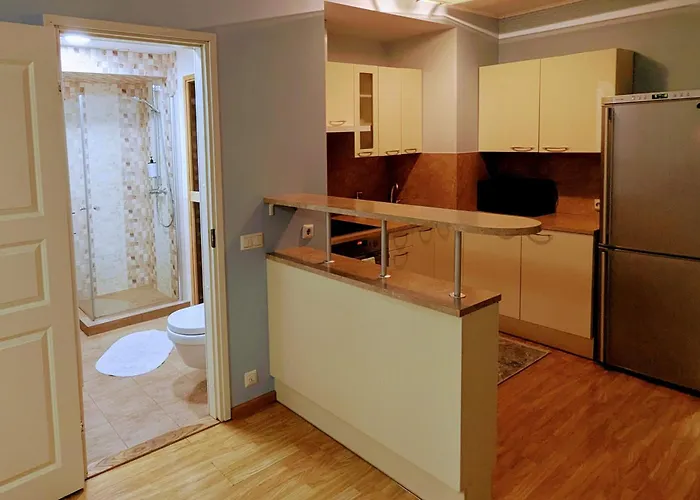 Joe - With Sauna In The Center Appartement *