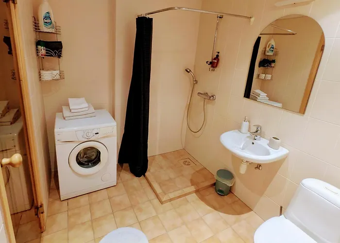 Joe - With Sauna In The Center Appartement