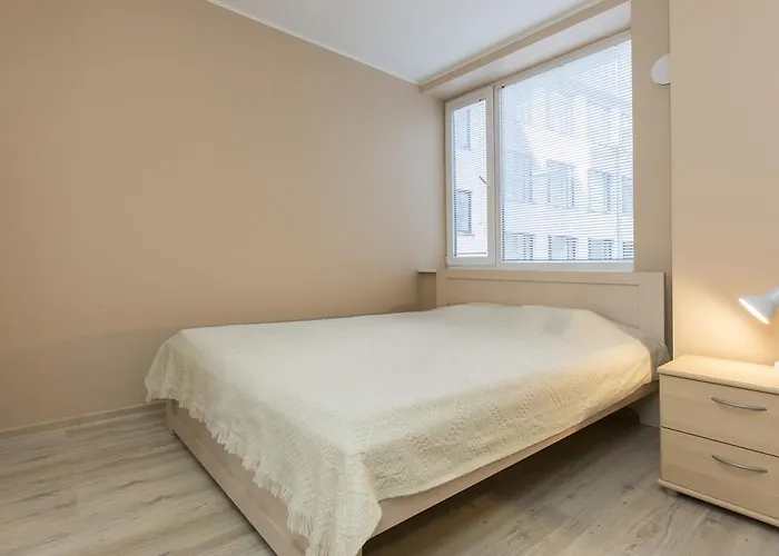 Joe - With Sauna In The Center טאלין