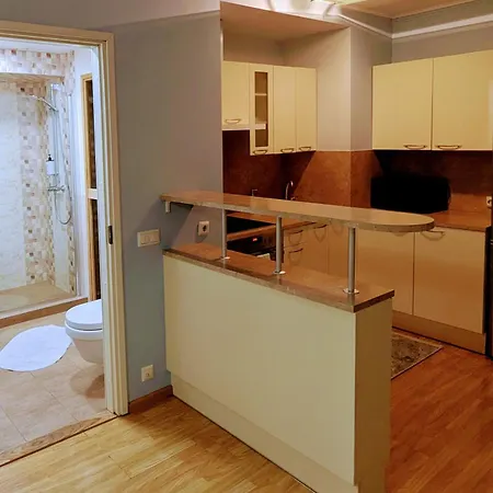 Joe - With Sauna In The Center דירה *