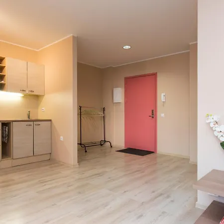 Joe - With Sauna In The Center טאלין